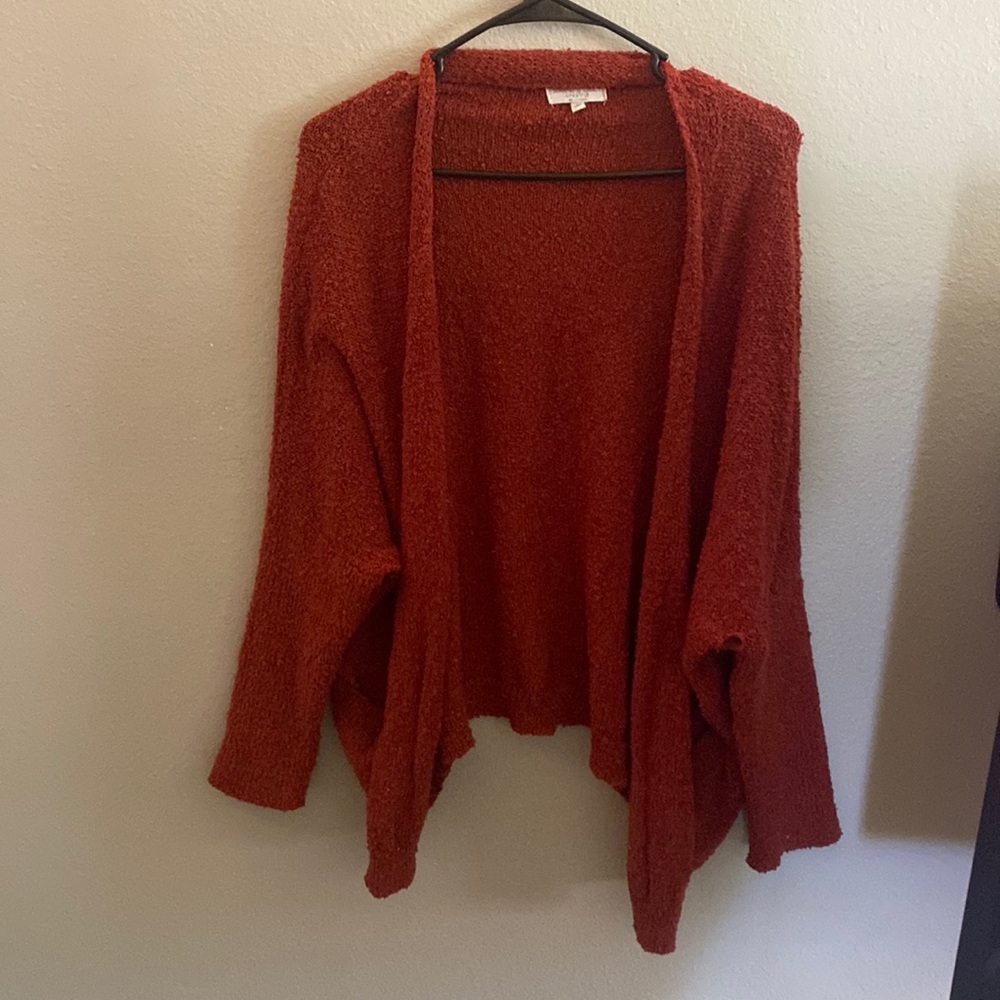 Cute dark orange cardigan with pockets. Has 2 small holes.